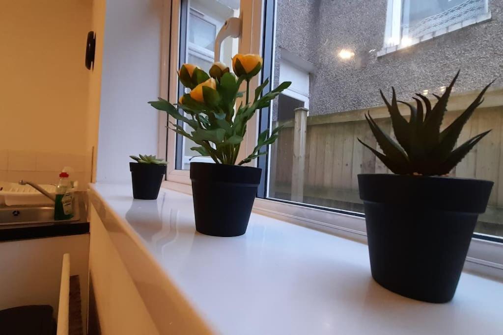 Spacious 4 Bedroom, Free Netflix, Central Location カーディフ エクステリア 写真